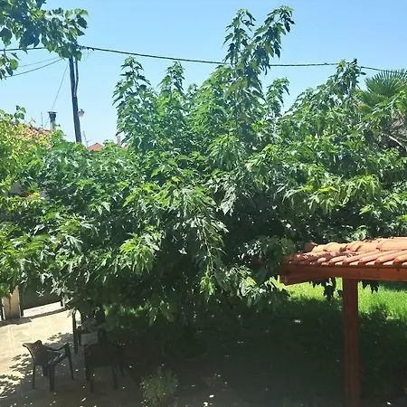 In Chalkidiki, *
