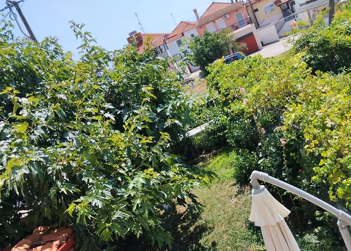 In Chalkidiki, Lakkoma