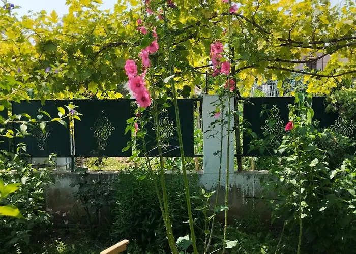 In Chalkidiki, Lakkoma Vakantiehuis *