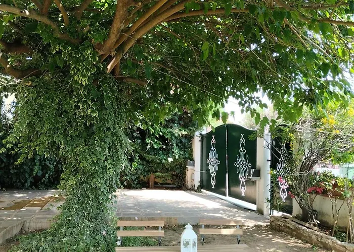 In Chalkidiki, Lakkoma Nea Kallikrateia