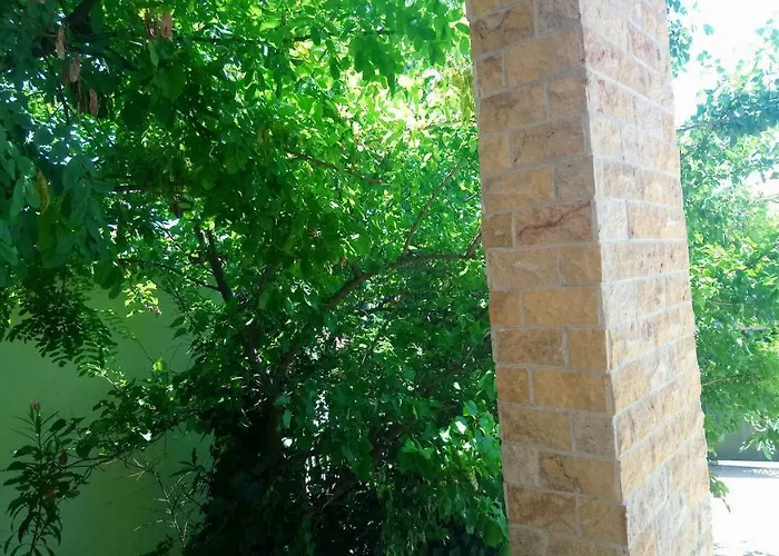 In Chalkidiki, Lakkoma *
