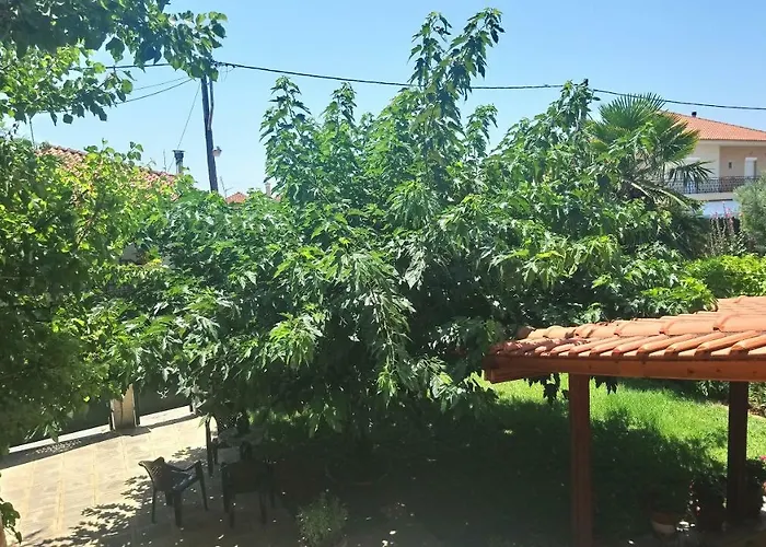 In Chalkidiki, Lakkoma *