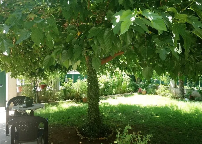In Chalkidiki, Lakkoma Vakantiehuis Nea Kallikrateia