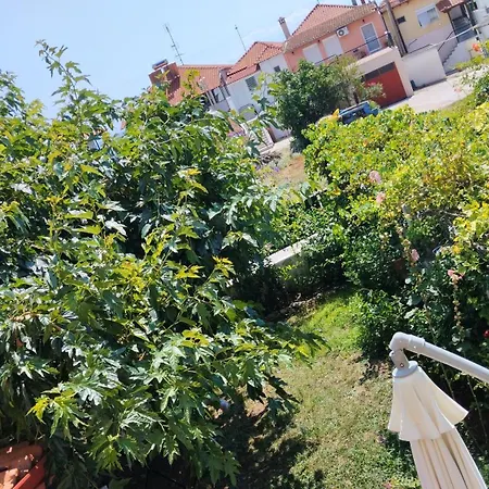 In Chalkidiki, Lakkoma