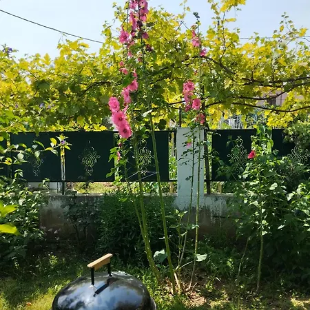 In Chalkidiki, Lakkoma Дом отдыха *