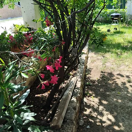 Holiday home In Chalkidiki,