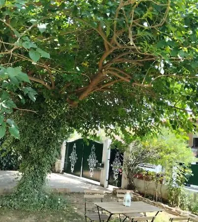 Holiday Home In Chalkidiki, Near Airport Skg Nea Kallikrateia