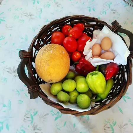 In Chalkidiki,