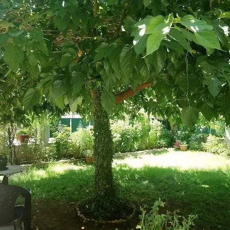 In Chalkidiki, Lakkoma Дом отдыха Nea Kallikrateia